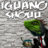 El IguanO SHouu